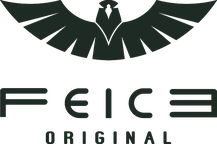 Feice logo