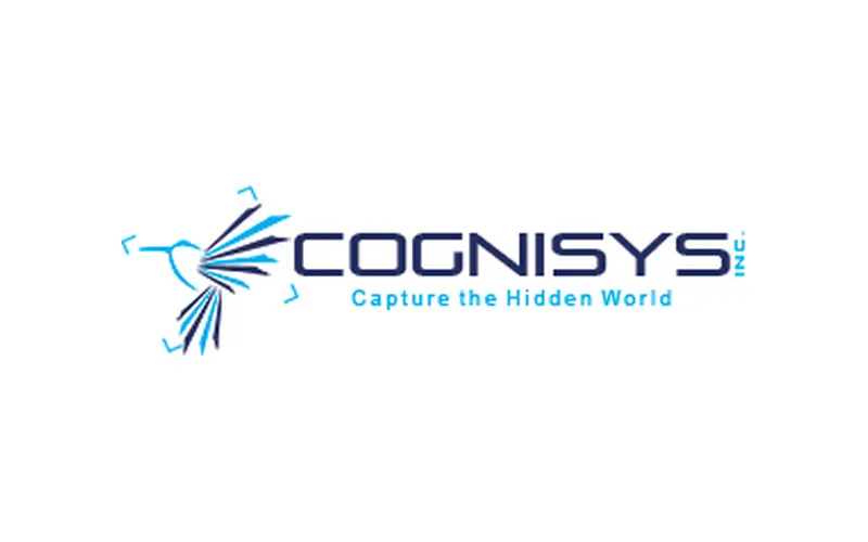 Cognisys